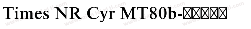 Times NR Cyr MT80b字体转换
